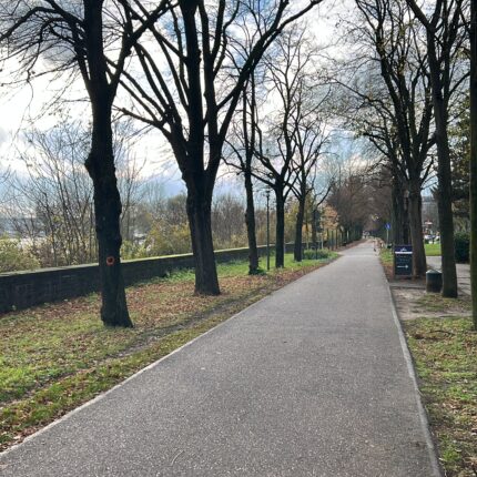 C323C689-0917-4B26-9C39-9AD0967CF6DC